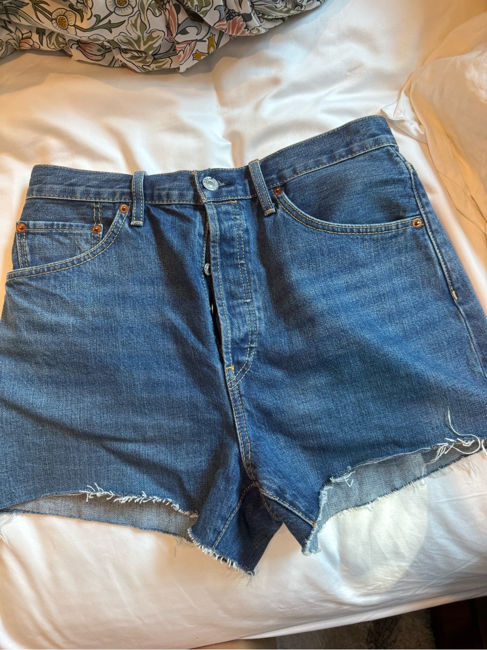 Re/Done Medium Blue Denim Raw-Hem Cutoff Shorts